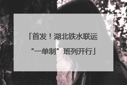 首发！湖北铁水联运“一单制”班列开行