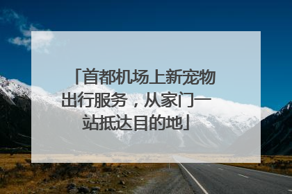 首都机场上新宠物出行服务，从家门一站抵达目的地