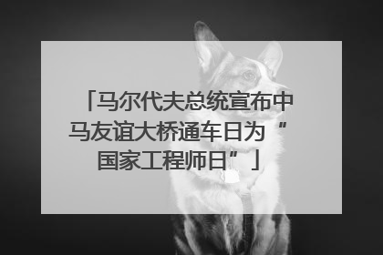 马尔代夫总统宣布中马友谊大桥通车日为“国家工程师日”