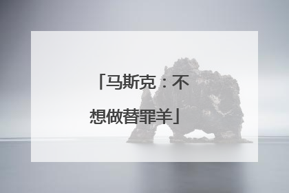 马斯克：不想做替罪羊