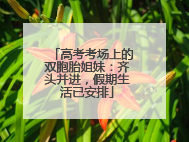 高考考场上的双胞胎姐妹：齐头并进，假期生活已安排