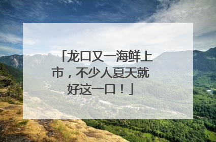 龙口又一海鲜上市，不少人夏天就好这一口！
