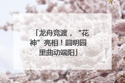 龙舟竞渡，“花神”亮相！圆明园里曲动端阳
