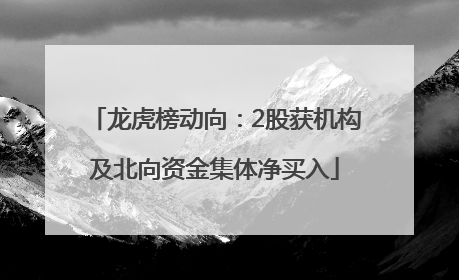 龙虎榜动向：2股获机构及北向资金集体净买入