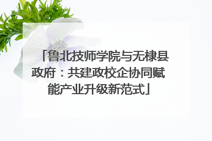 鲁北技师学院与无棣县政府：共建政校企协同赋能产业升级新范式