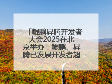 鲲鹏昇腾开发者大会2025在北京举办：鲲鹏、昇腾已发展开发者超665万