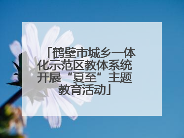 鹤壁市城乡一体化示范区教体系统开展“夏至”主题教育活动