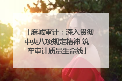 麻城审计：深入贯彻中央八项规定精神 筑牢审计质量生命线