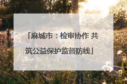 麻城市：检审协作 共筑公益保护监督防线
