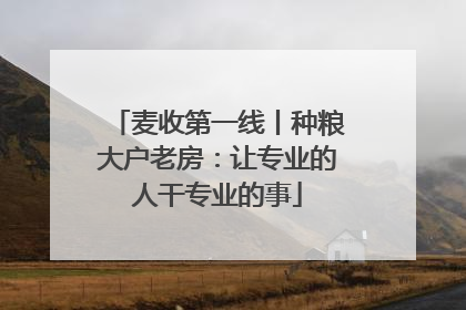 麦收第一线丨种粮大户老房：让专业的人干专业的事