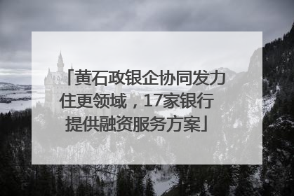 黄石政银企协同发力住更领域，17家银行提供融资服务方案