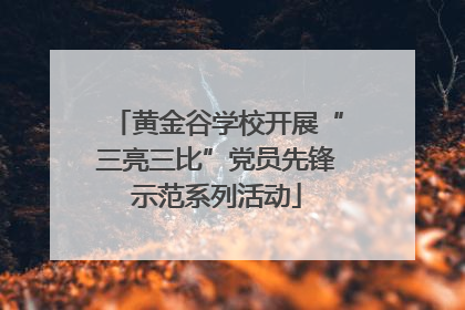 黄金谷学校开展“三亮三比”党员先锋示范系列活动