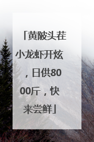 黄陂头茬小龙虾开炫，日供8000斤，快来尝鲜