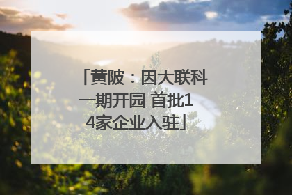 黄陂：因大联科一期开园 首批14家企业入驻
