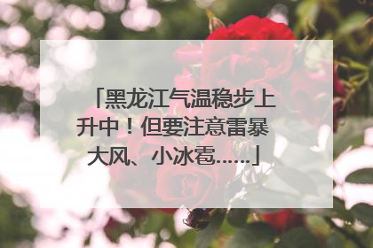 黑龙江气温稳步上升中！但要注意雷暴大风、小冰雹……