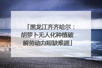 黑龙江齐齐哈尔：胡萝卜无人化种植破解劳动力短缺难题