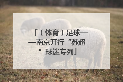 （体育）足球——南京开行“苏超”球迷专列
