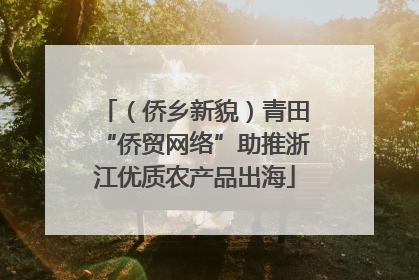（侨乡新貌）青田“侨贸网络”助推浙江优质农产品出海