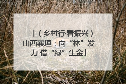 （乡村行·看振兴）山西襄垣：向“林”发力 借“绿”生金