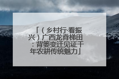 （乡村行·看振兴）广西龙脊梯田：背篓变迁见证千年农耕传统魅力
