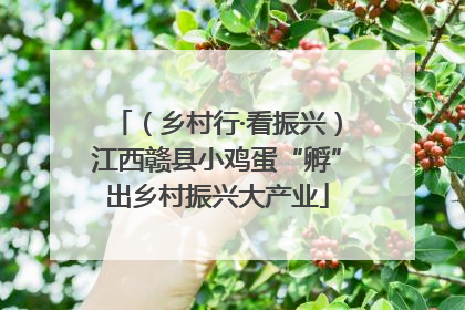（乡村行·看振兴）江西赣县小鸡蛋“孵”出乡村振兴大产业