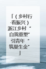 （乡村行·看振兴）浙江乡村“自我重塑” 引青年“筑巢生金”