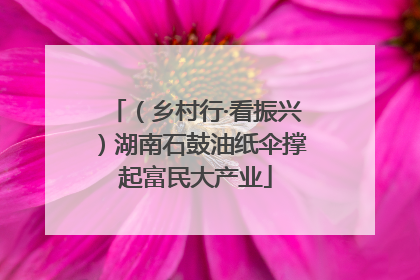 （乡村行·看振兴）湖南石鼓油纸伞撑起富民大产业
