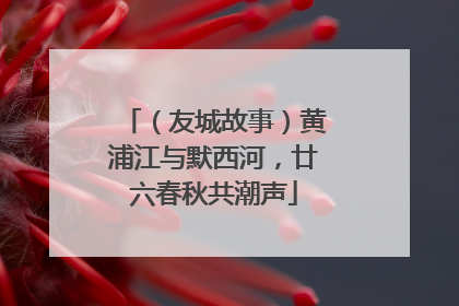 （友城故事）黄浦江与默西河，廿六春秋共潮声