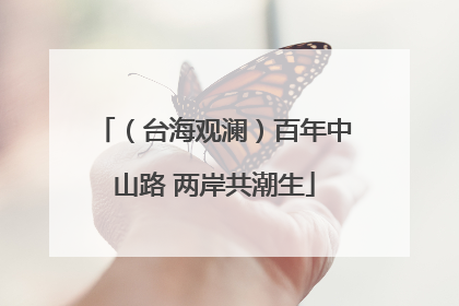 （台海观澜）百年中山路 两岸共潮生