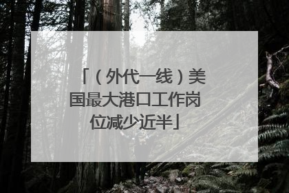（外代一线）美国最大港口工作岗位减少近半