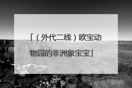 （外代二线）欧宝动物园的非洲象宝宝