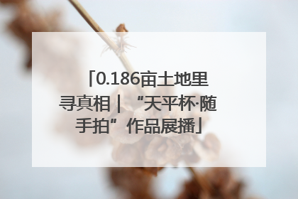 0.186亩土地里寻真相｜“天平杯·随手拍”作品展播