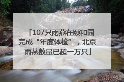 107只雨燕在颐和园完成“年度体检”，北京雨燕数量已超一万只