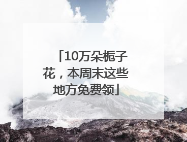 10万朵栀子花，本周末这些地方免费领