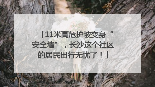 11米高危护坡变身“安全墙”，长沙这个社区的居民出行无忧了！