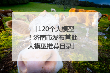 120个大模型！济南市发布首批大模型推荐目录