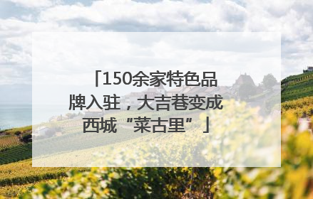 150余家特色品牌入驻，大吉巷变成西城“菜古里”