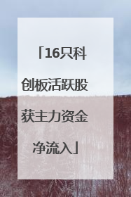 16只科创板活跃股获主力资金净流入