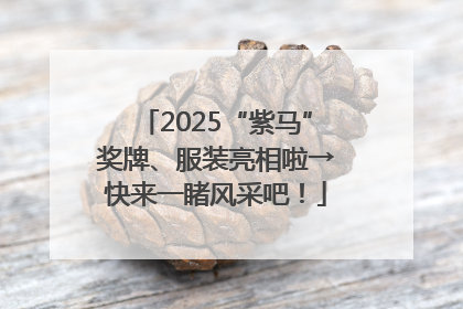 2025“紫马”奖牌、服装亮相啦→快来一睹风采吧！