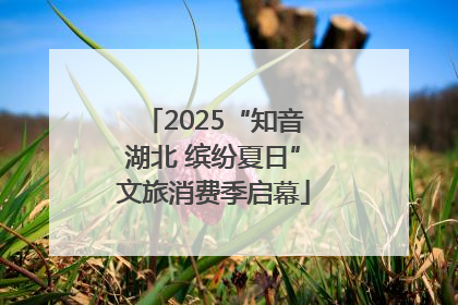 2025“知音湖北 缤纷夏日”文旅消费季启幕