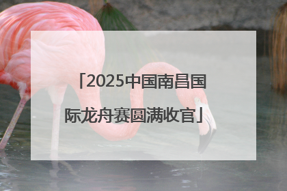 2025中国南昌国际龙舟赛圆满收官