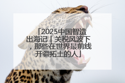 2025中国智造出海记丨关税风波下，那些在世界最前线开疆拓土的人
