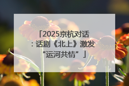 2025京杭对话：话剧《北上》激发“运河共情”