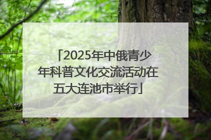 2025年中俄青少年科普文化交流活动在五大连池市举行