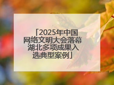 2025年中国网络文明大会落幕 湖北多项成果入选典型案例