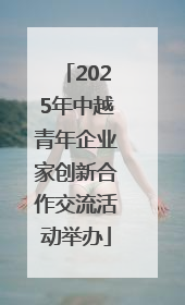 2025年中越青年企业家创新合作交流活动举办