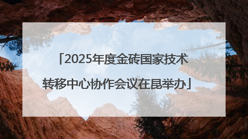 2025年度金砖国家技术转移中心协作会议在昆举办