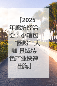 2025年廊坊经洽会：小箱包“圈粉”大咖 县域特色产业快速出海