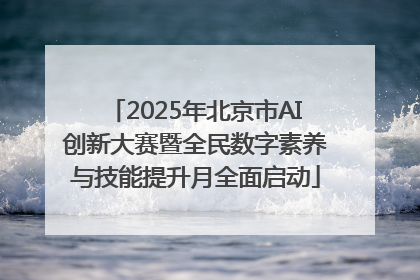 2025年北京市AI创新大赛暨全民数字素养与技能提升月全面启动