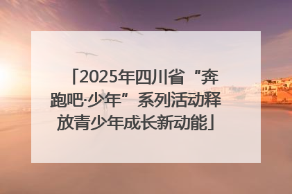 2025年四川省“奔跑吧·少年”系列活动释放青少年成长新动能